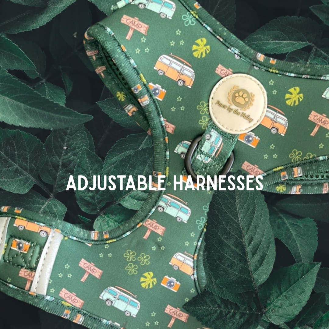 Adjustable Harnesses
