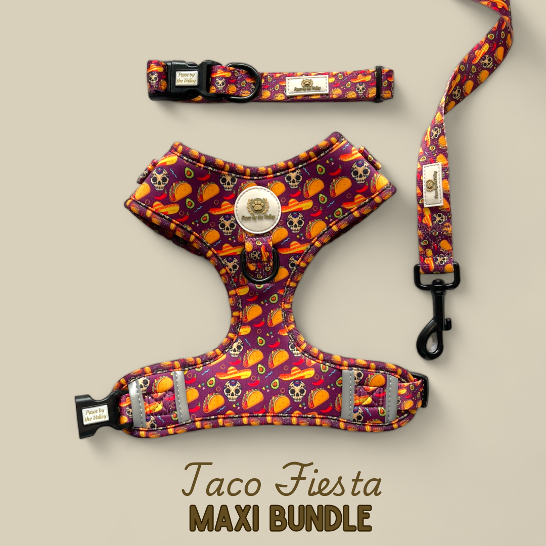 Paquete Maxi Taco Fiesta