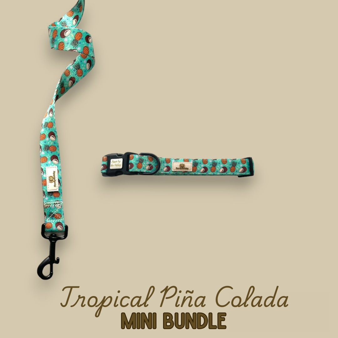 Mini paquete de piña colada tropical