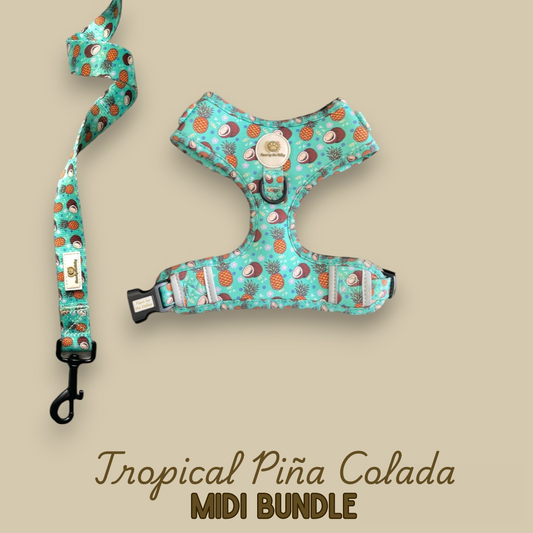 Paquete Midi Piña Colada Tropical
