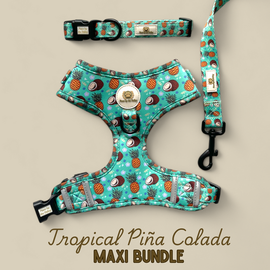 Paquete maxi de piña colada tropical