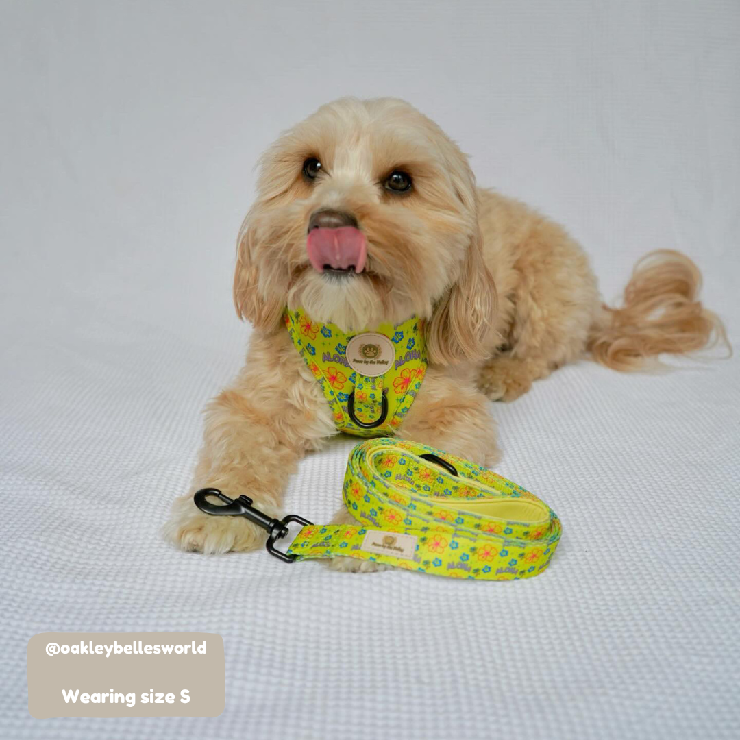 Arnés ajustable Aloha