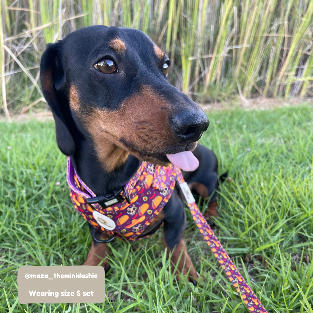 Arnés ajustable Taco Fiesta