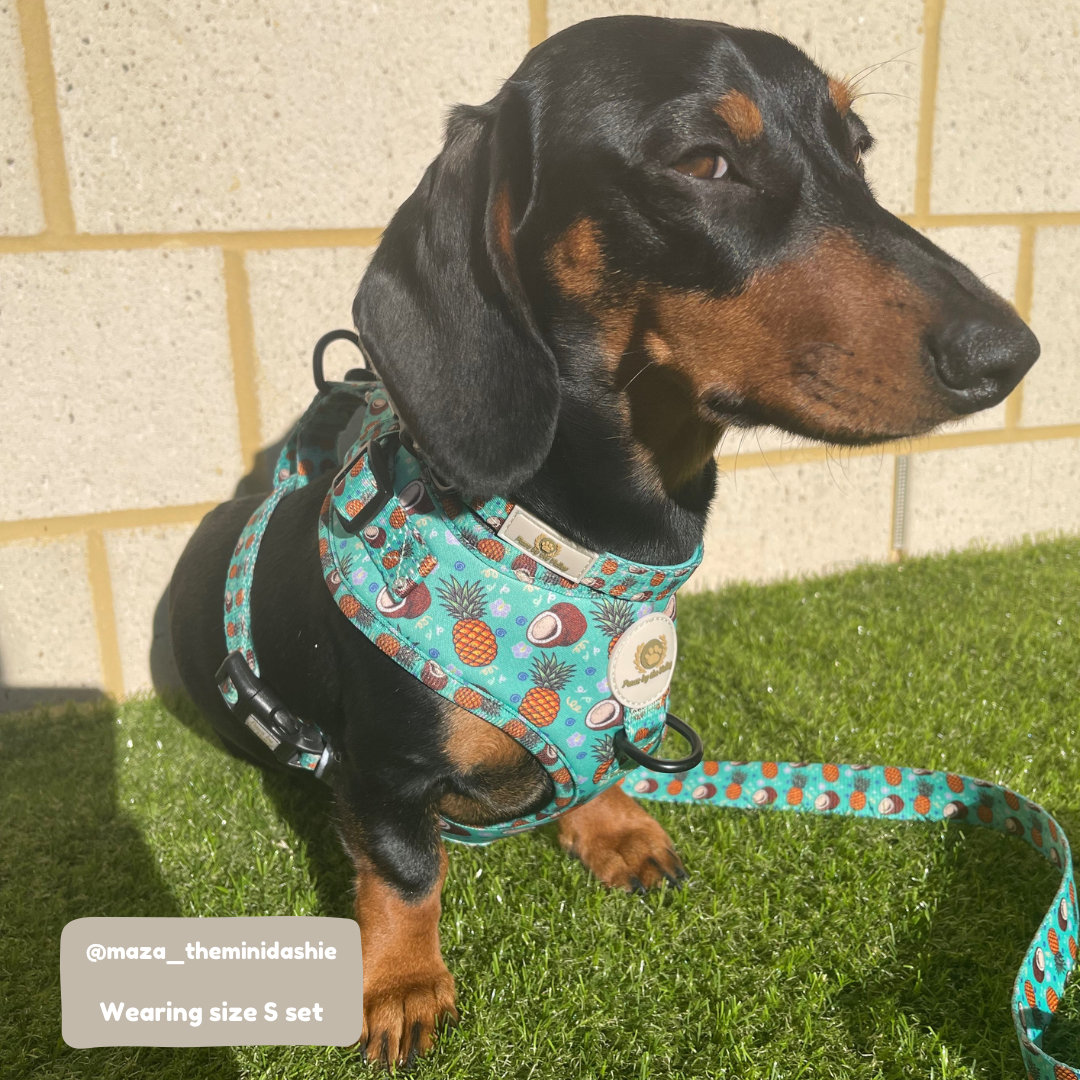 Correa piña colada tropical