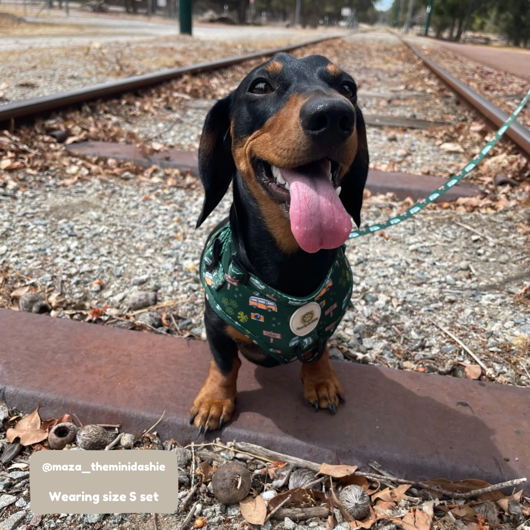 ¡Nos vamos de campamento! Collar