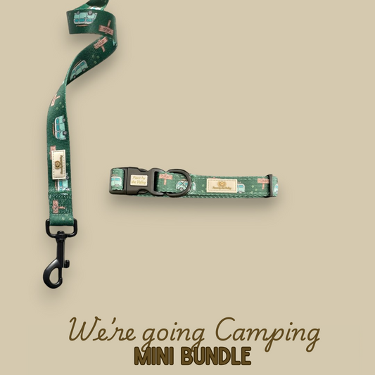 Mini paquete "Vamos a acampar"