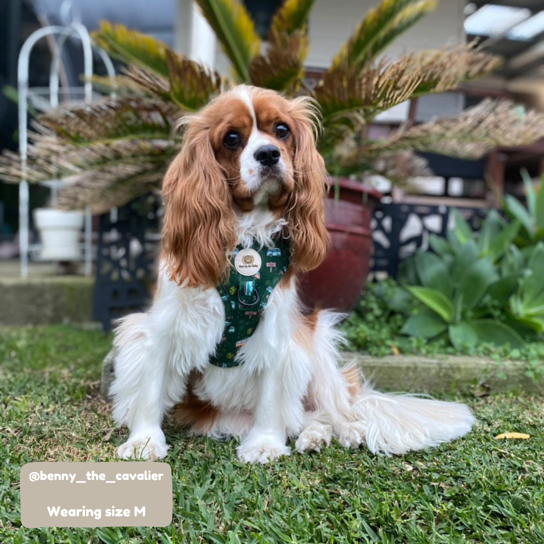 ¡Nos vamos de camping! Arnés ajustable