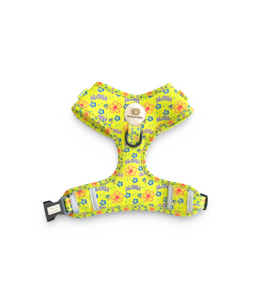 Aloha Harnais ajustable