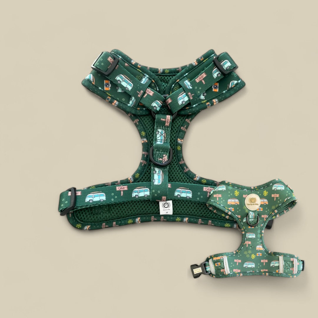¡Nos vamos de camping! Arnés ajustable