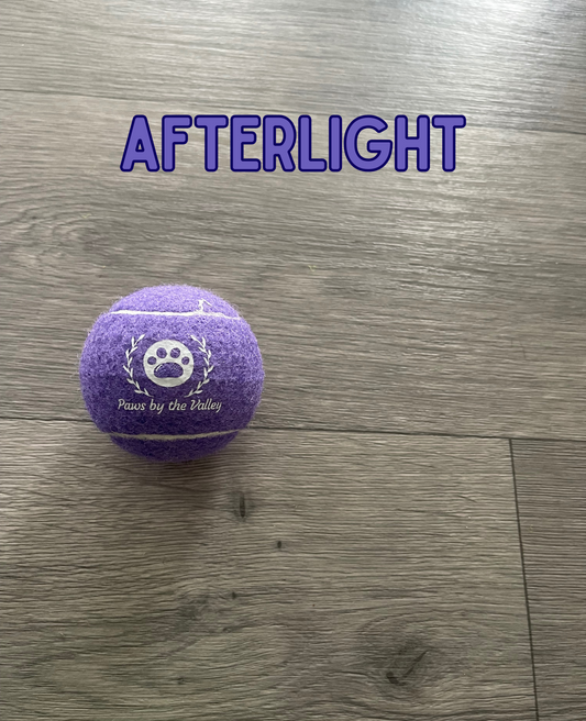 Dog Tennis Ball - Afterlight (Purple)