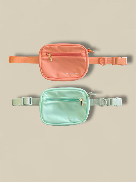 Everyday Dog Walking Bag