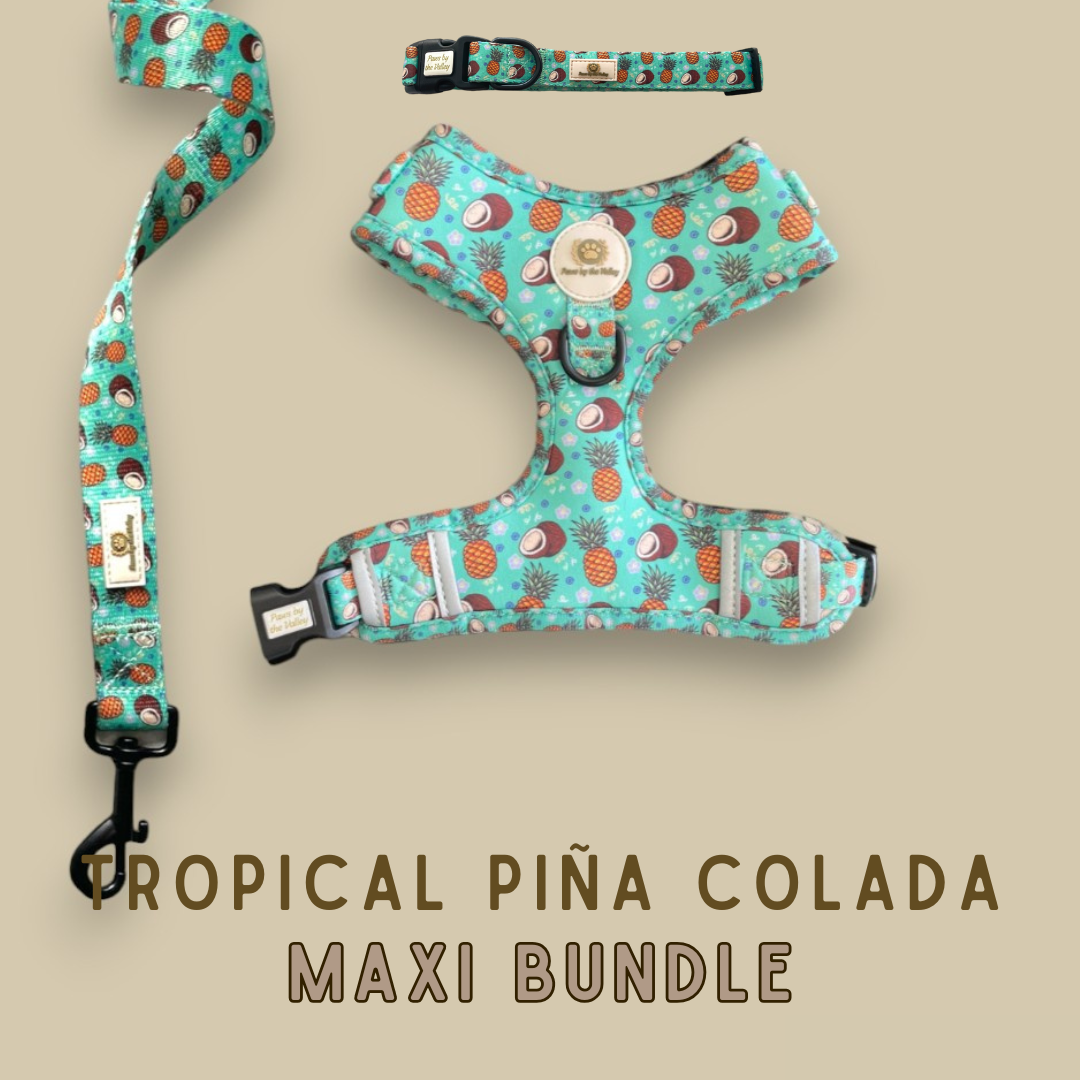 Tropisches Piña Colada Maxi-Paket
