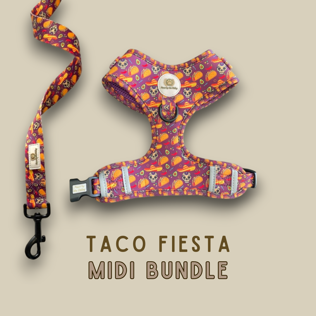 Taco Fiesta Midi Bundle