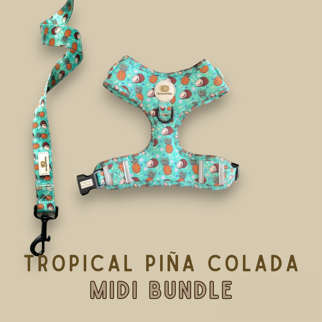 Tropical Piña Colada Midi Bundle