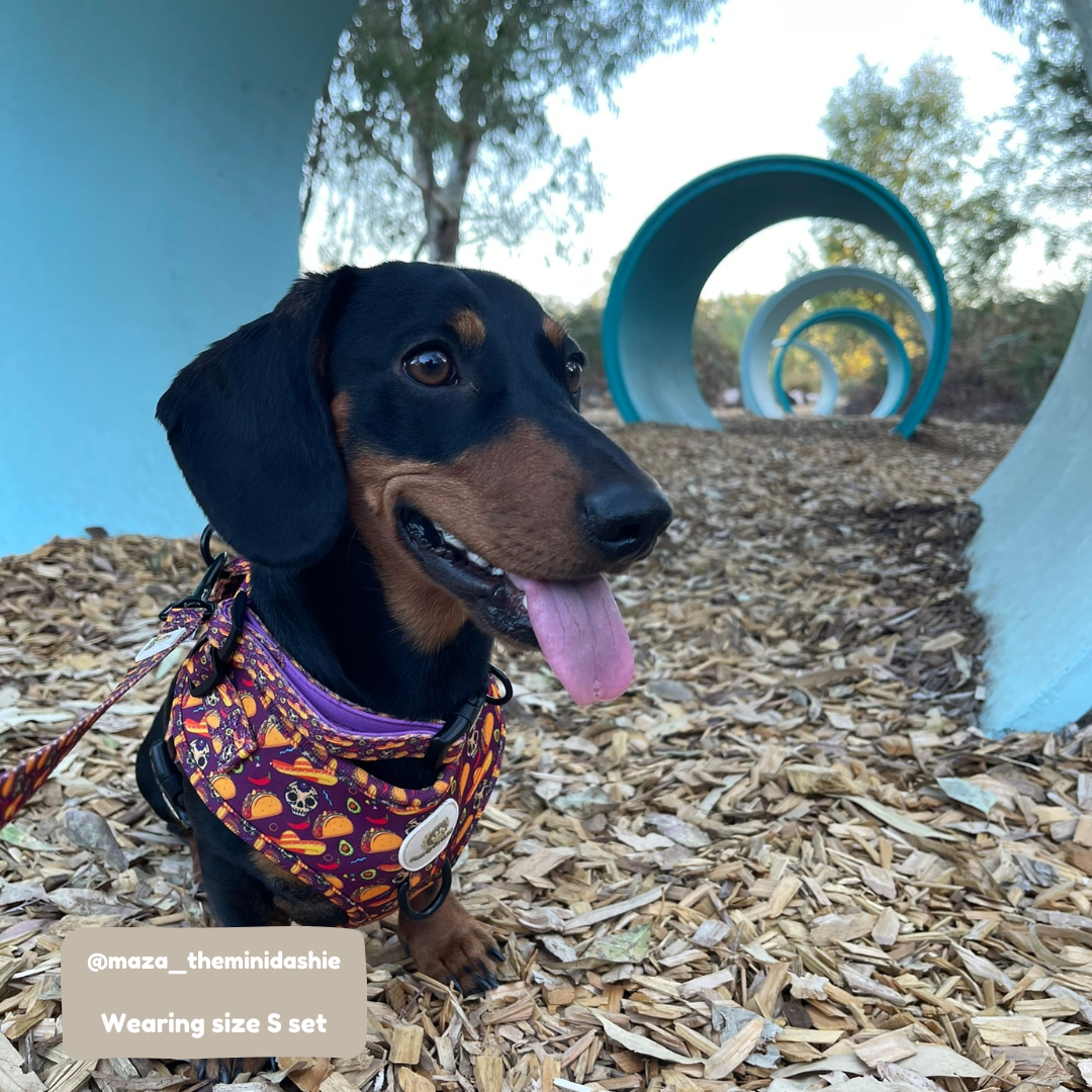 Arnés ajustable Taco Fiesta