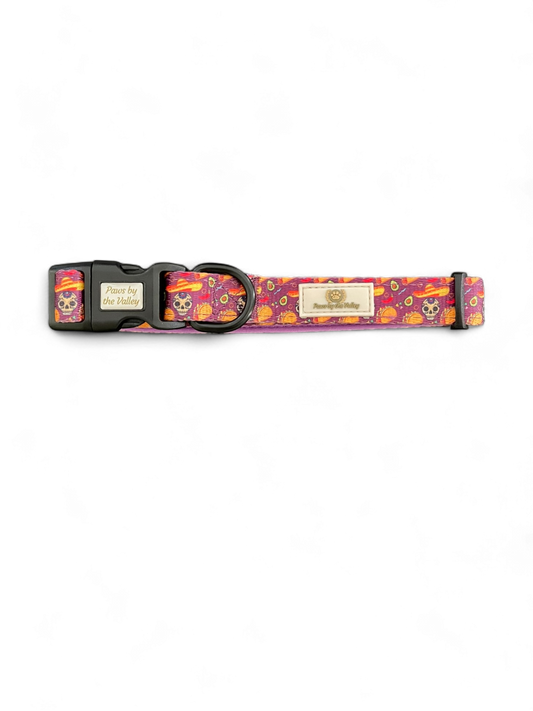 Collar de fiesta de tacos