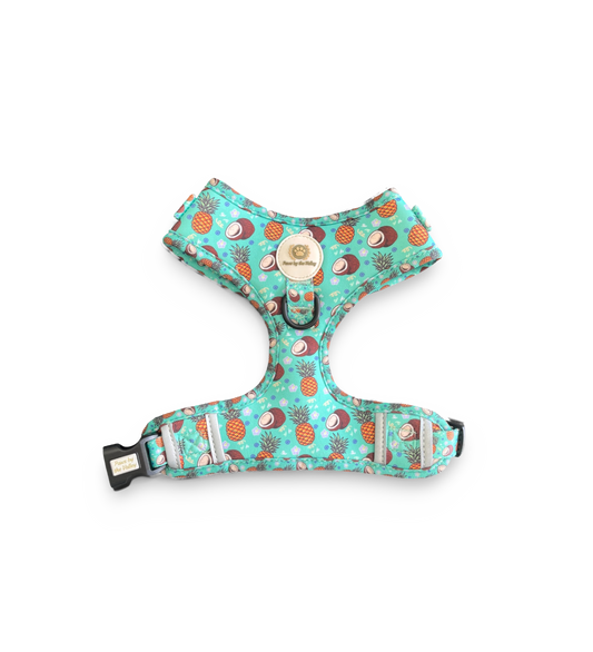 Imbracatura regolabile Tropical Piña Colada