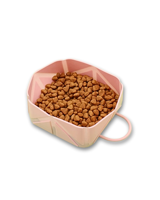 Foldable Dog Travel Bowls