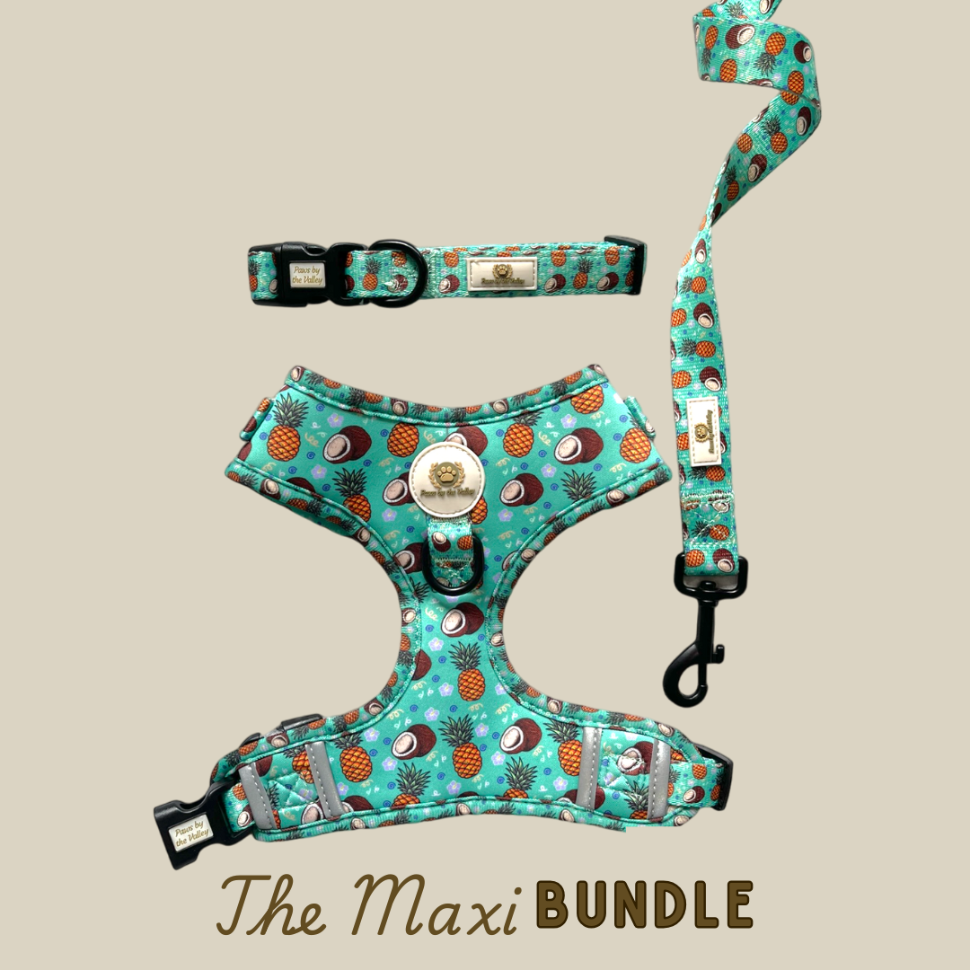 Maxi Bundles