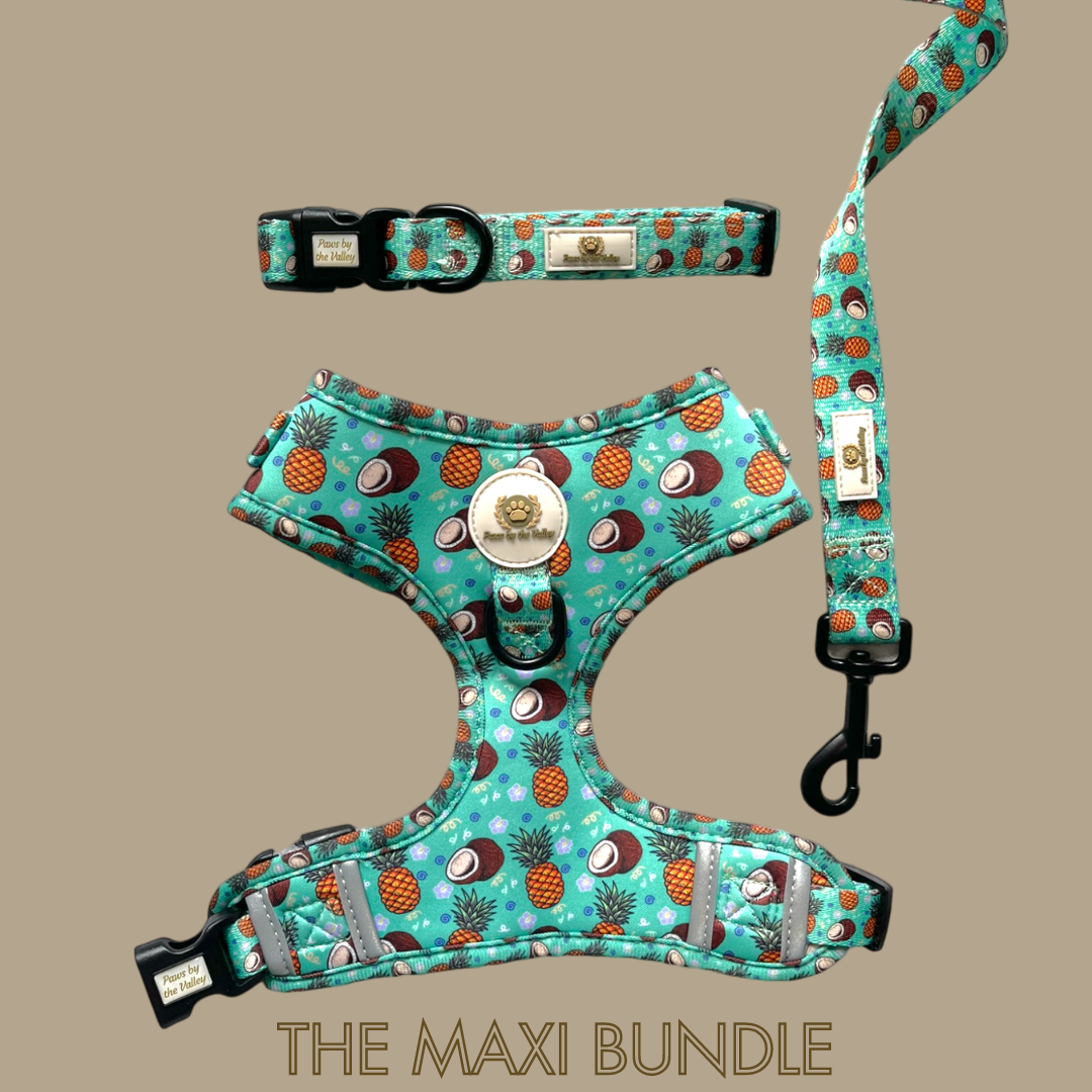 Maxi Bundles