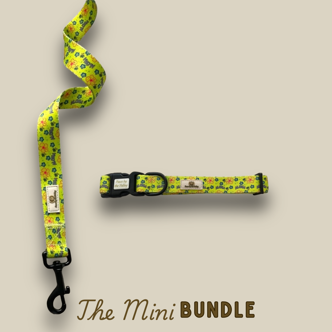 Mini Bundles