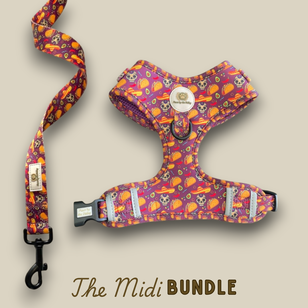 Midi Bundles