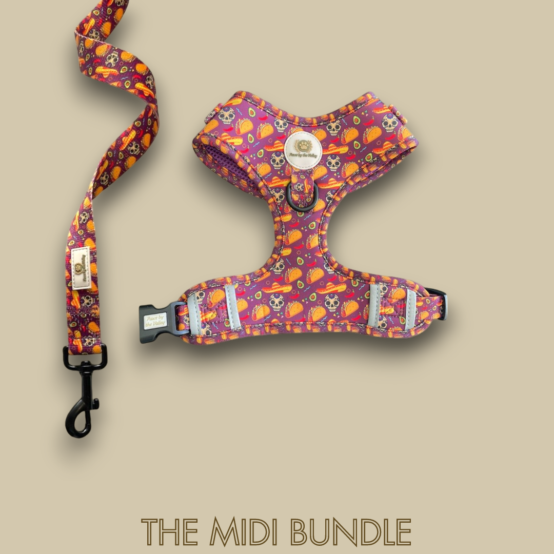 Midi Bundles