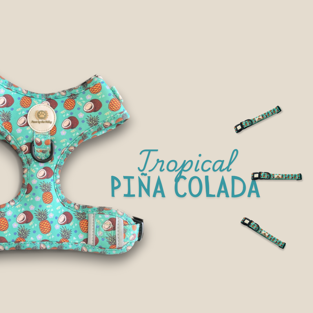 Tropical Piña Colada