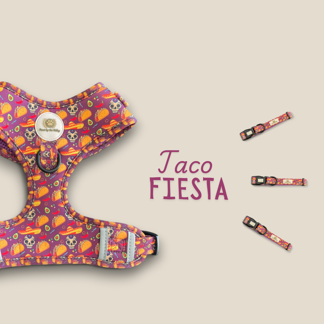 Taco Fiesta