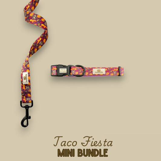 Mini paquete de Taco Fiesta