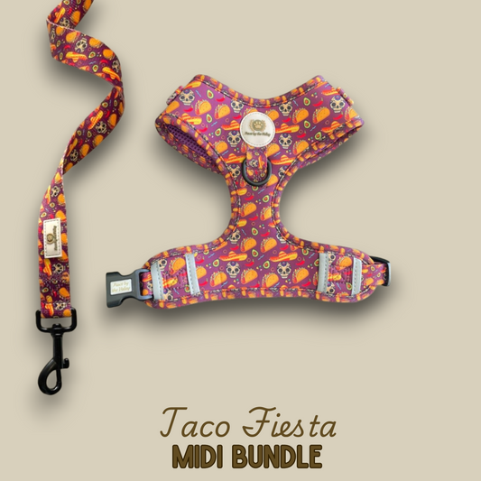 Paquete de Taco Fiesta Midi