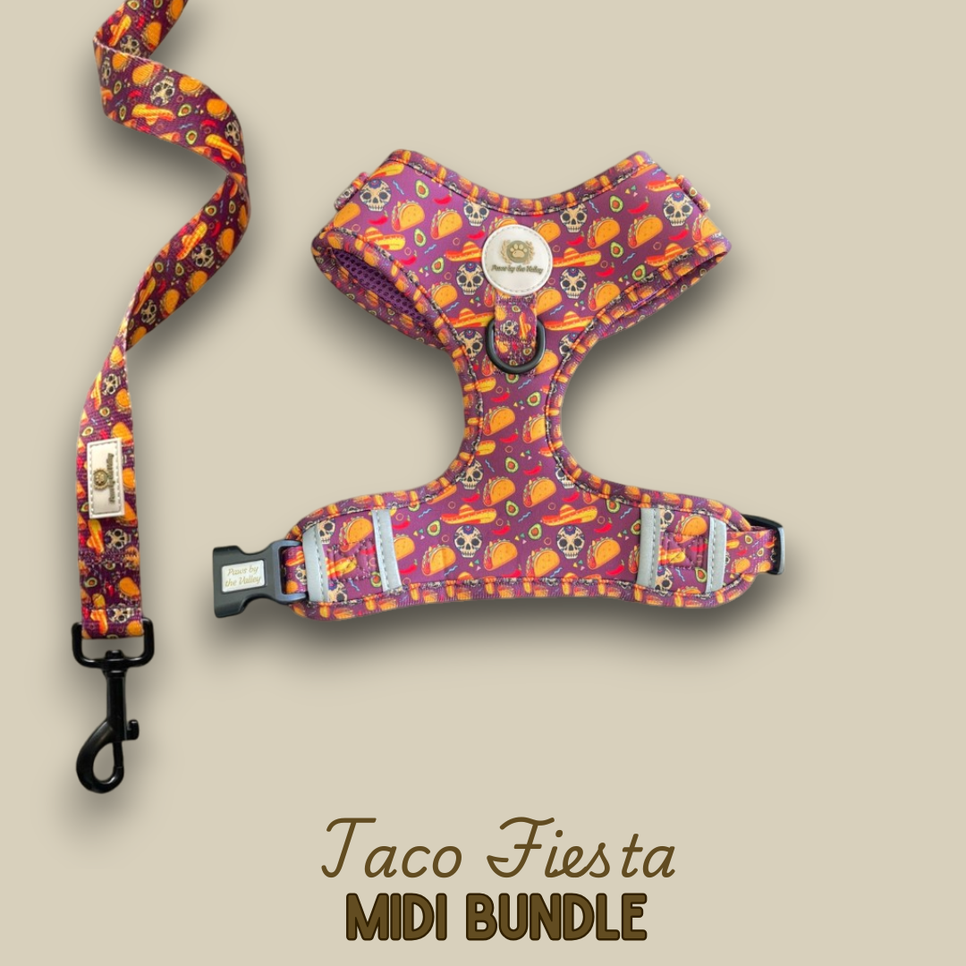 Taco Fiesta Midi Bundle