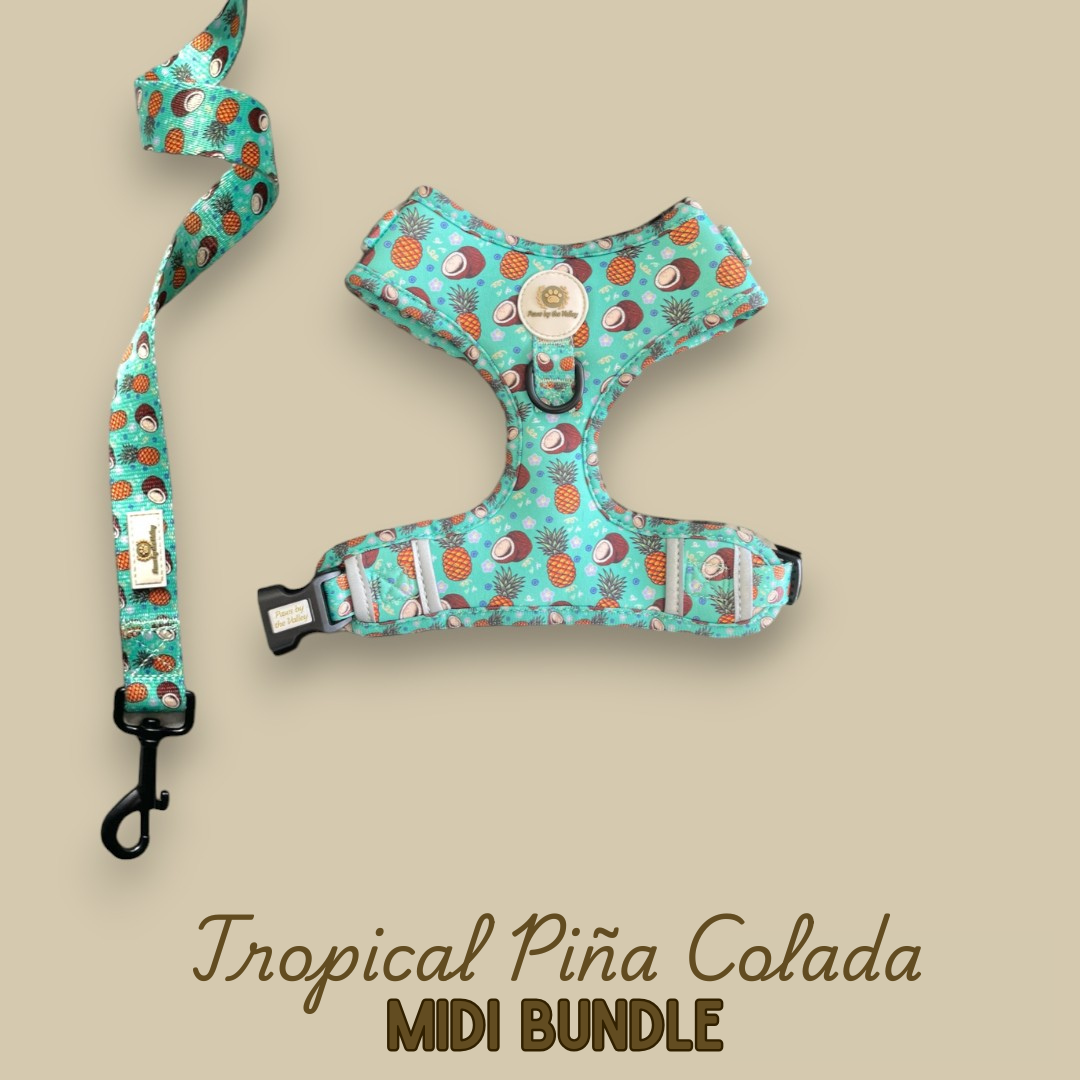 Tropical Piña Colada Midi Bundle