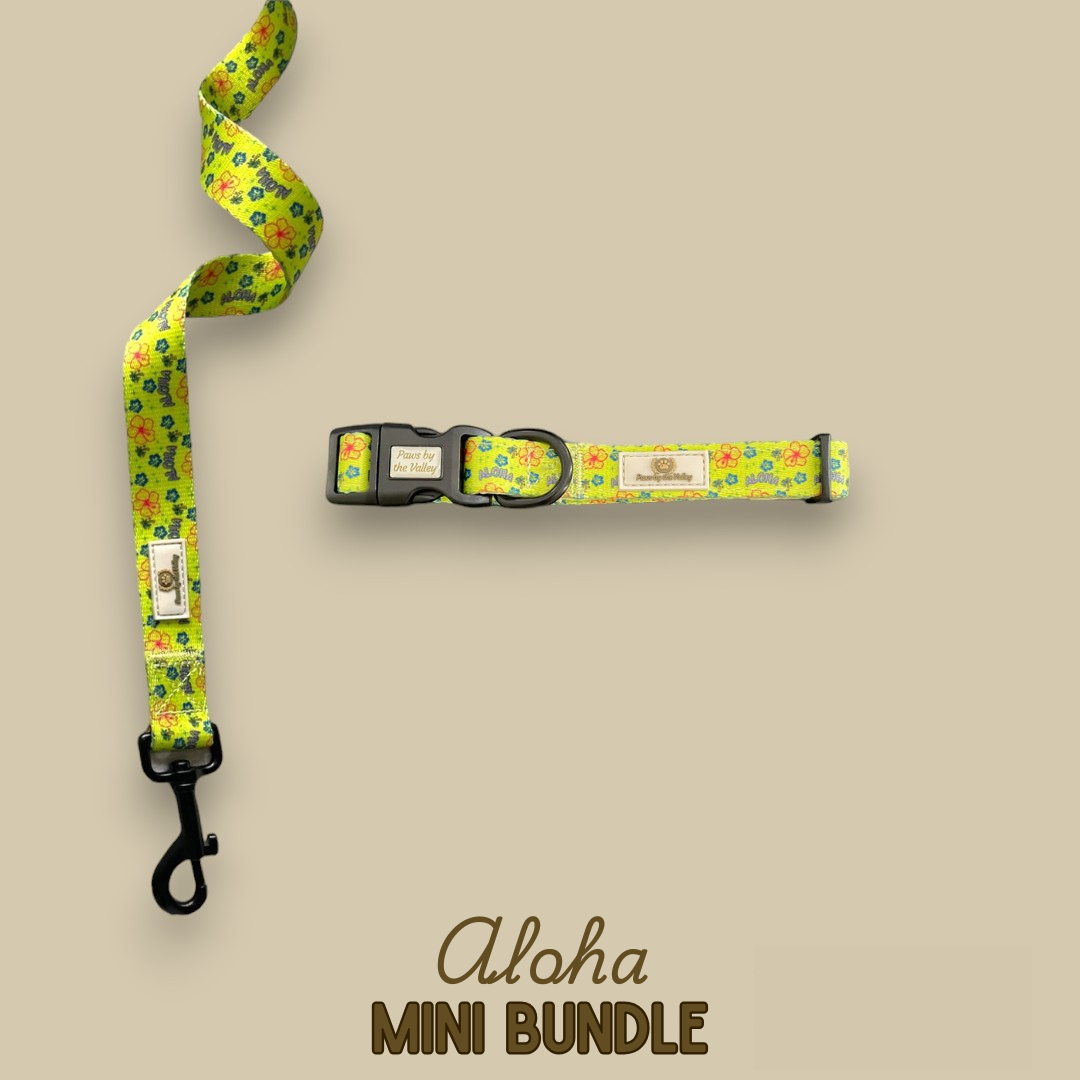 Aloha Mini-Paket