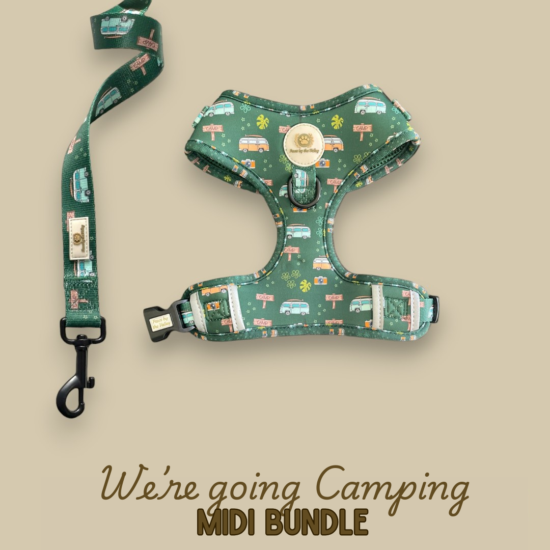 We're Going Camping Midi Bundle