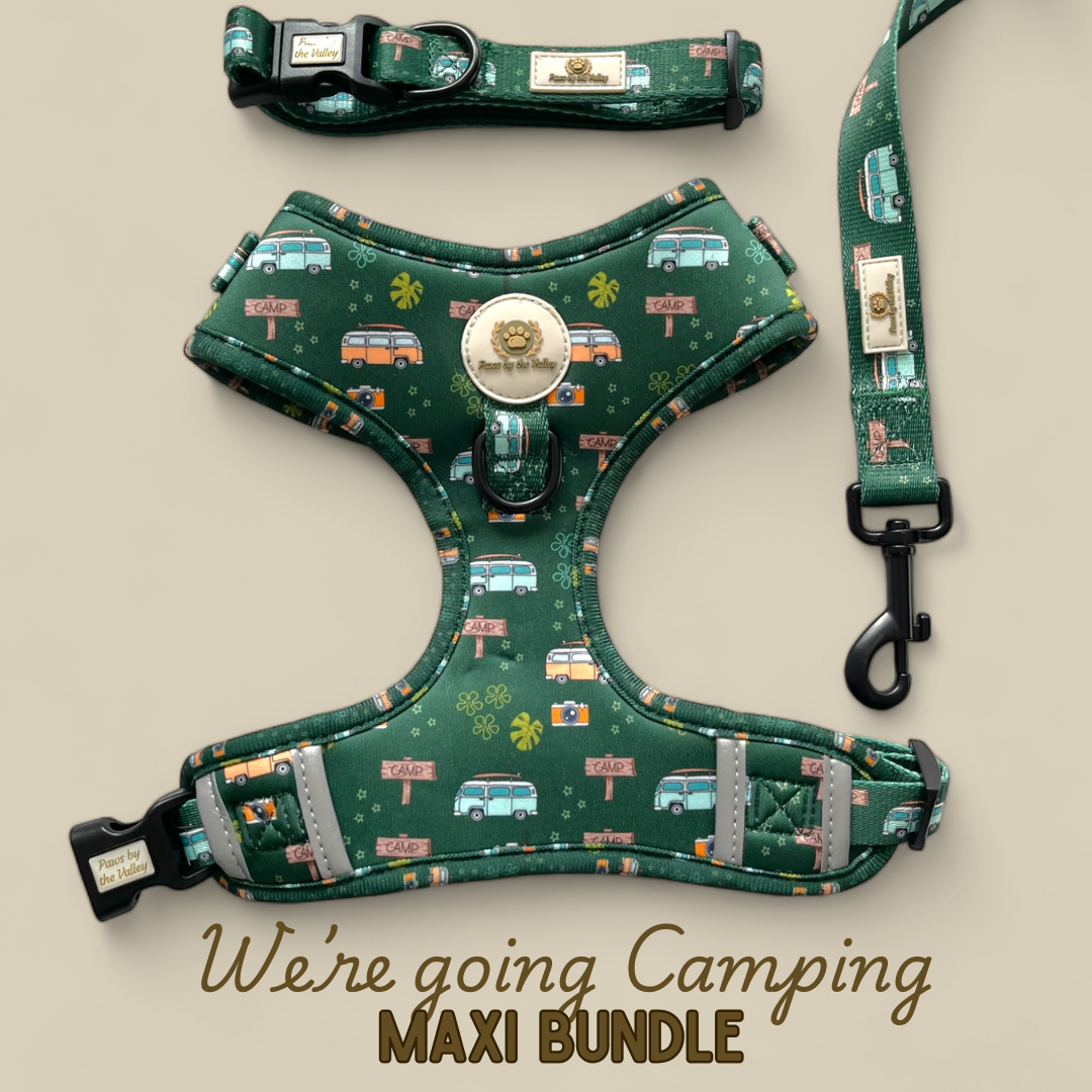 We're Going Camping Maxi Bundle