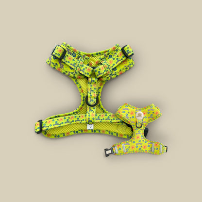 Aloha Adjustable Harness