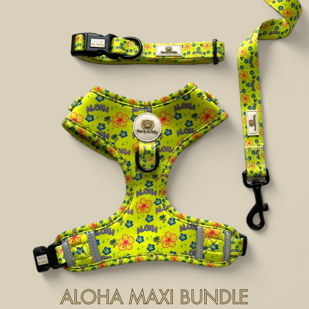 Aloha Maxi Bundle