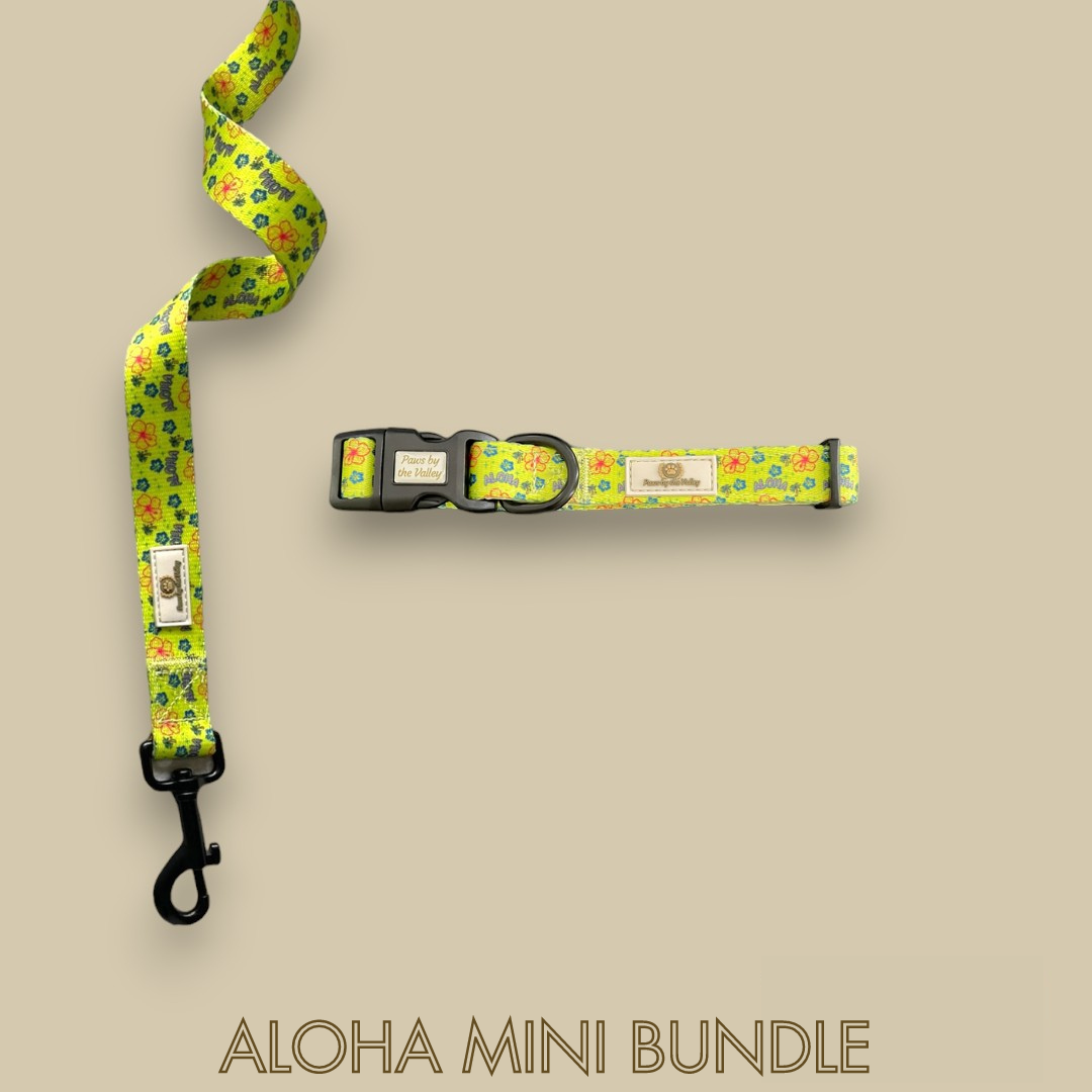 Aloha Mini Bundle