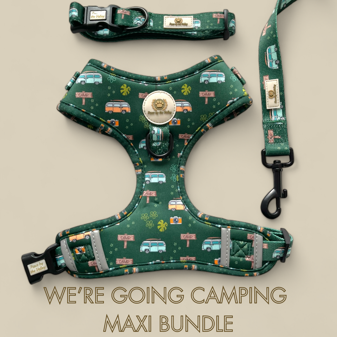 We're Going Camping Maxi Bundle