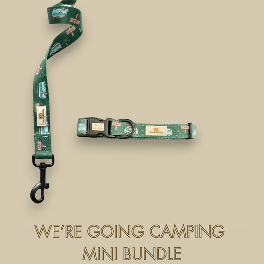 We're Going Camping Mini Bundle