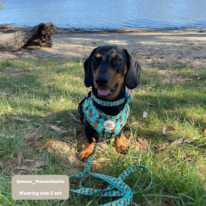 Tropical Piña Colada Adjustable Harness