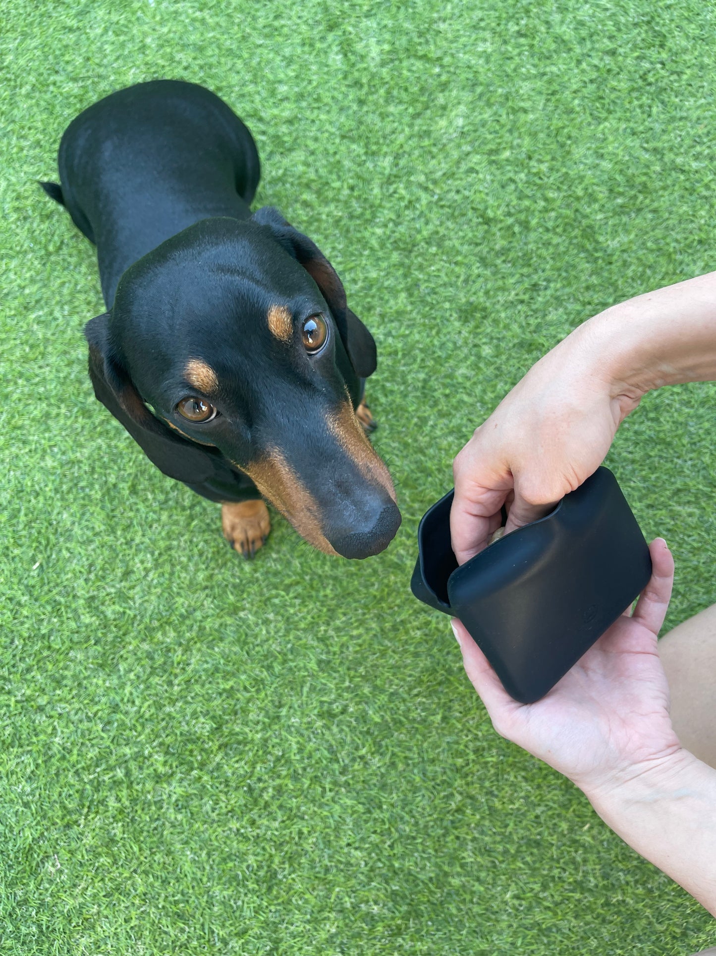 Deluxe: a bolsa de silicone para treino