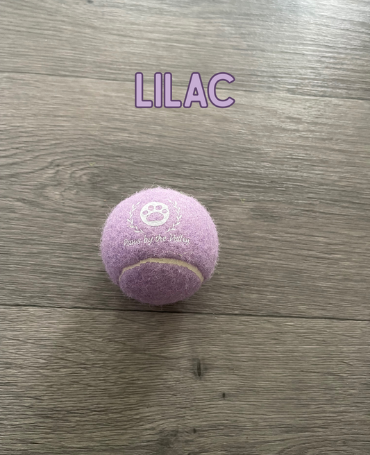 Dog Tennis Ball - Lilac