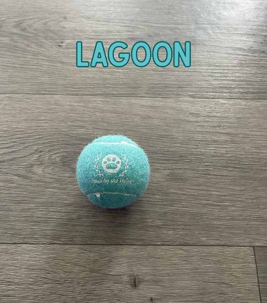Dog Tennis Ball - Lagoon (Teal)