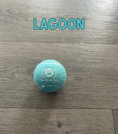 Dog Tennis Ball - Lagoon (Teal)