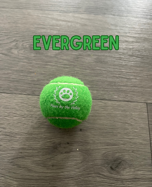Dog Tennis Ball - Evergreen