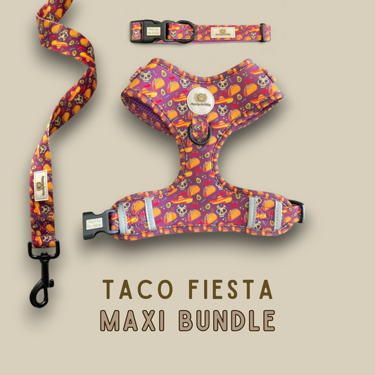 Taco Fiesta Maxi Bundle