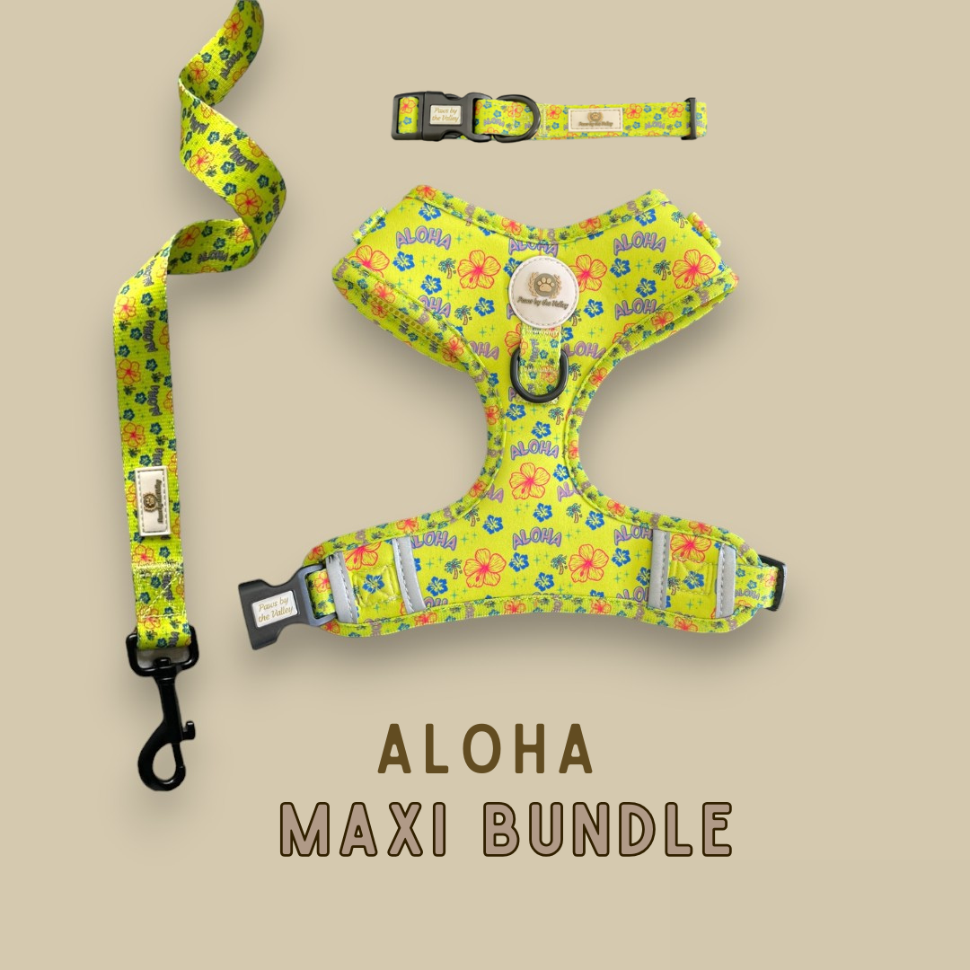 Paquete Maxi Aloha