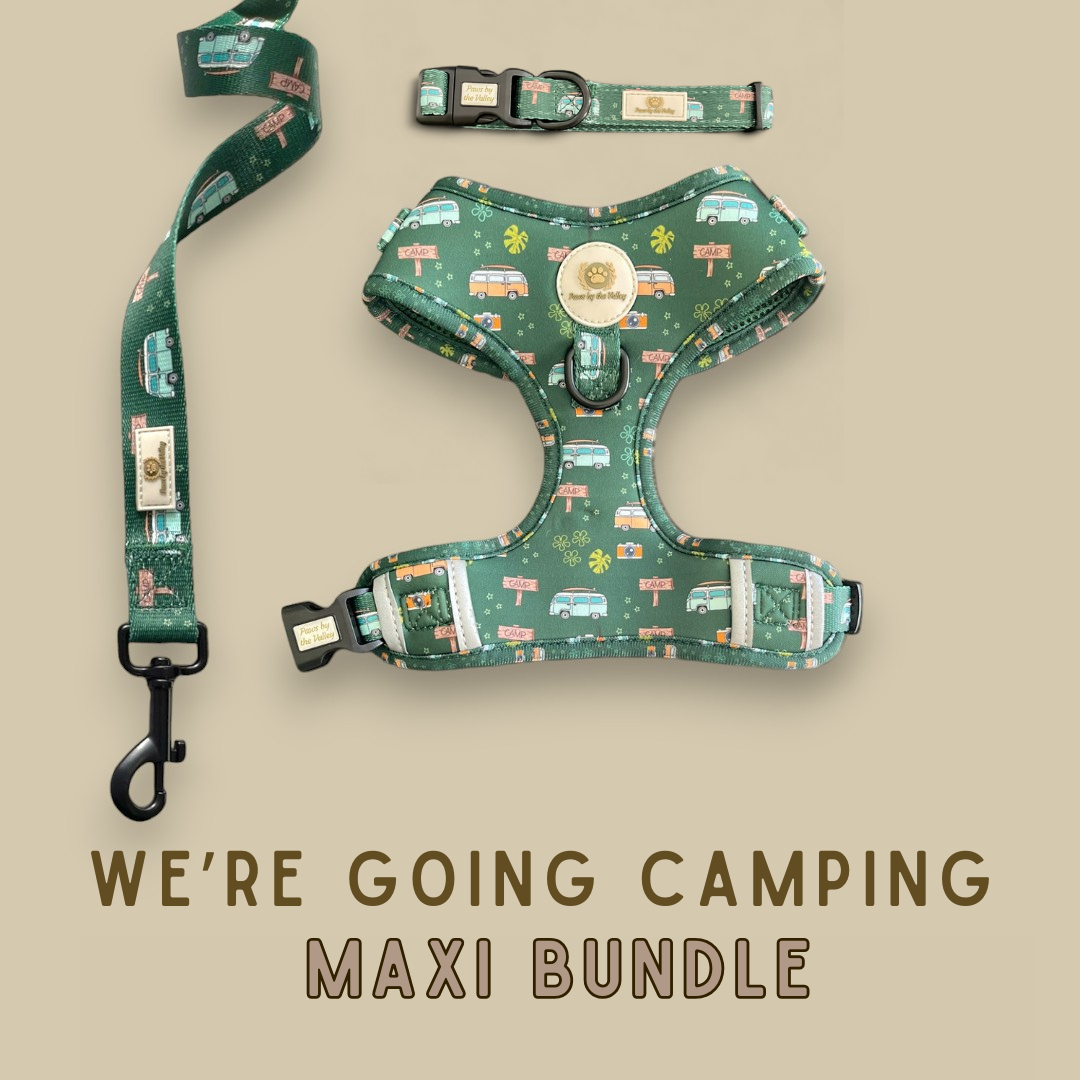 We're Going Camping Maxi Bundle